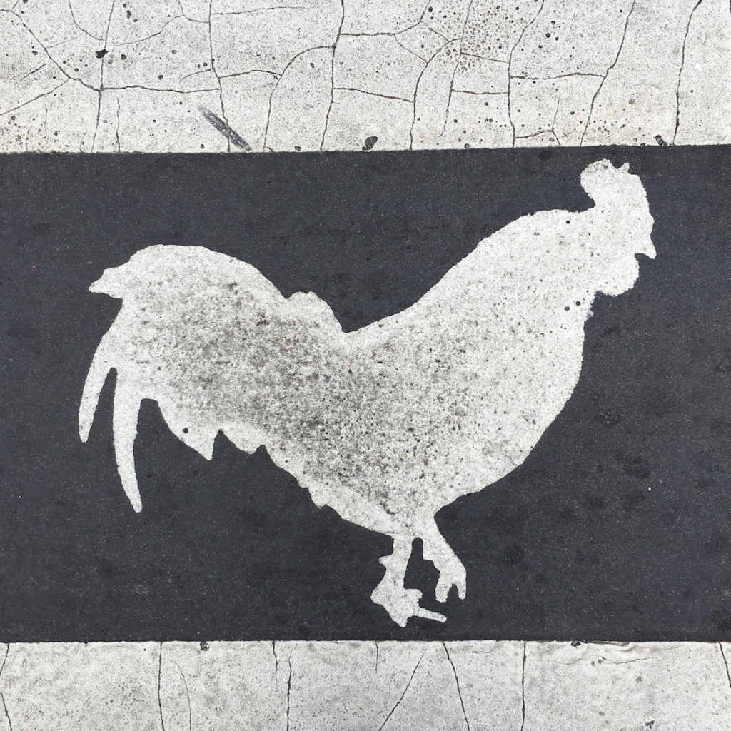 Chinese New Year Parade - Rooster in crosswalk in Chinatown