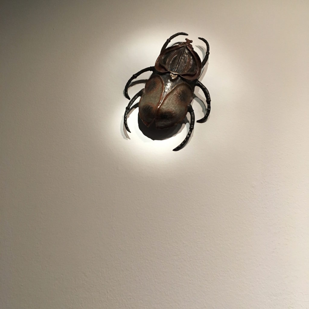 NMWA - Escarabajo Goliath (Goliathus cacicus) by Clara Saldarriaga