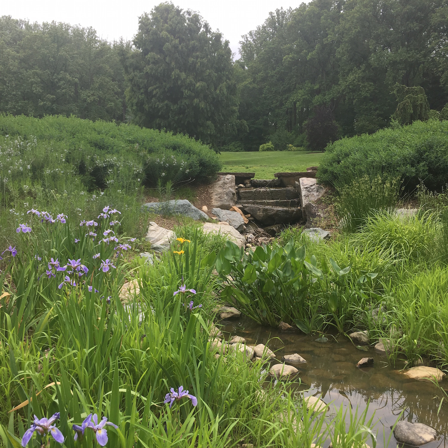 Brookside Gardens Adventures In Dc