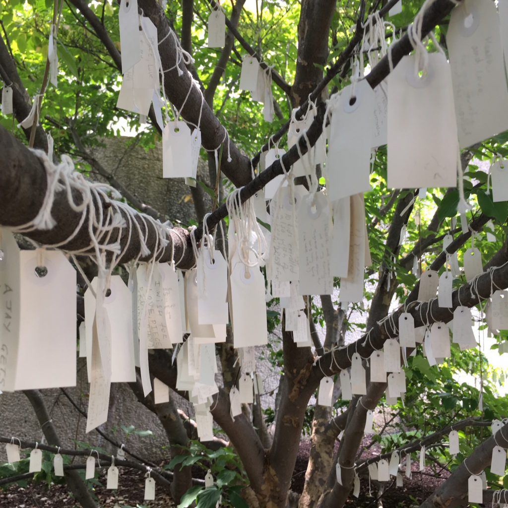 Wish Tree - Lots of wishes hanging on the tree