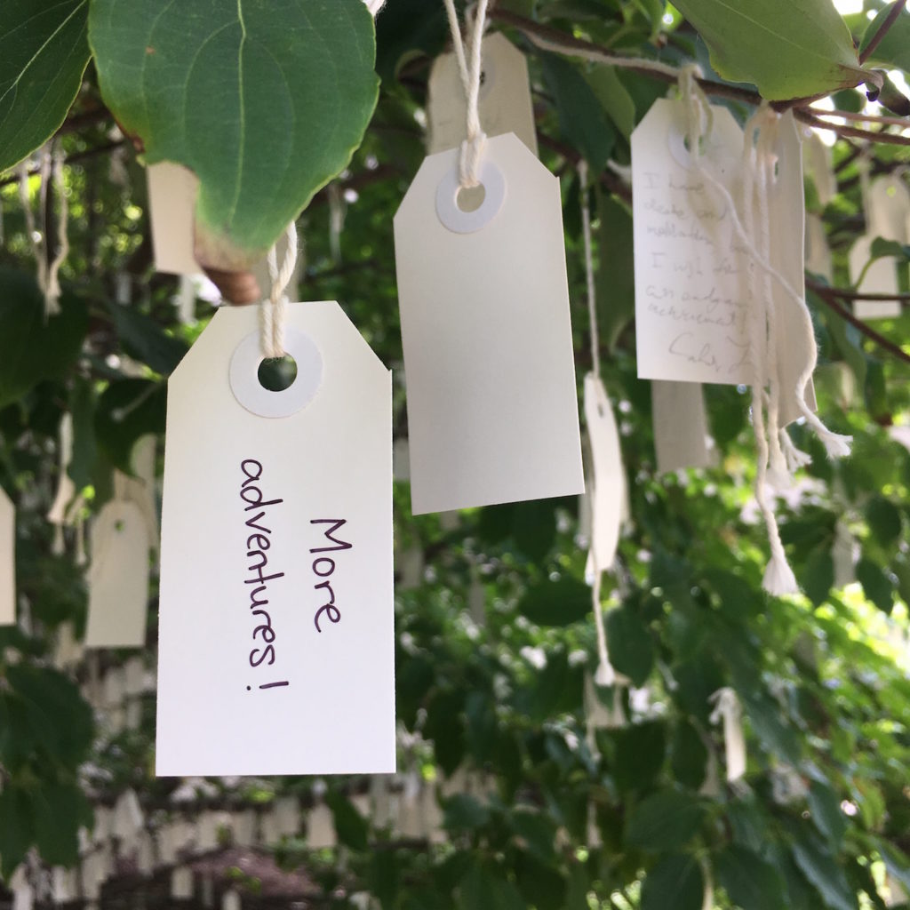 Wish Tree - Wishing for more adventures