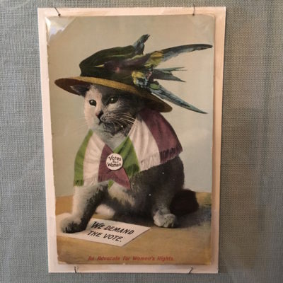 Belmont-Paul Women’s Equality National Monument - Suffrage cat