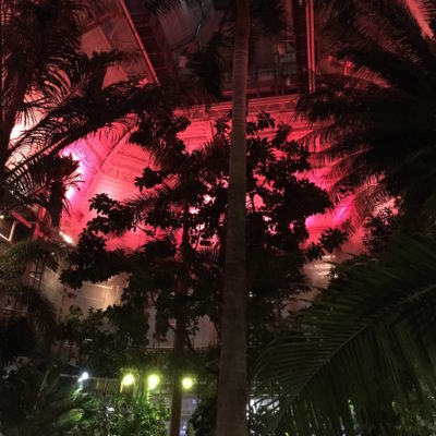 Season's Greenings at the U.S. Botanic Garden - The Tropics Lit with Christmas Lights