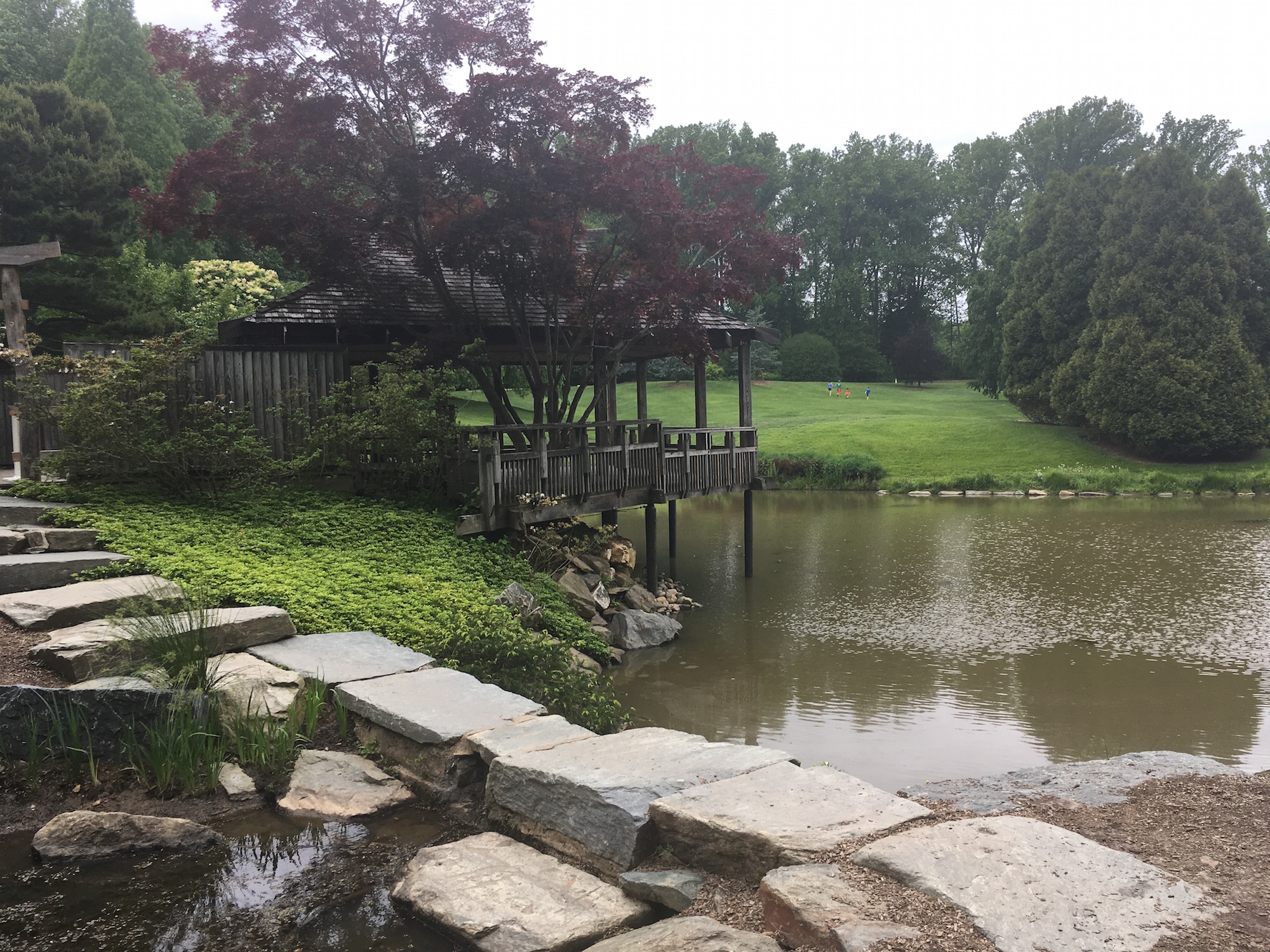 Brookside Gardens Adventures In Dc