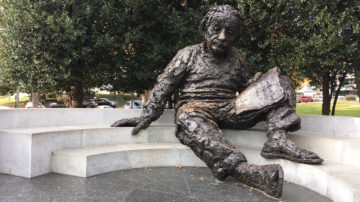 Einstein Memorial - Einstein statue in the elm and holly grove