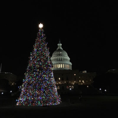 Capitol Christmas Tree - Lit tree in front of Capitol