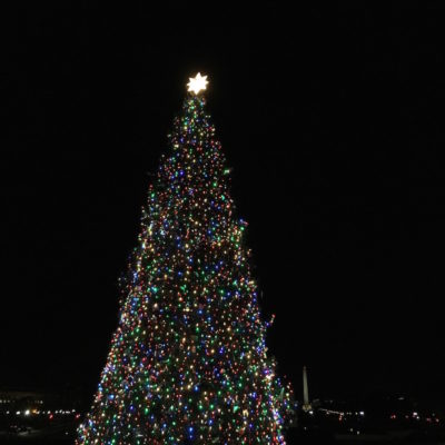 Capitol Christmas Tree - Lit tree with Washington Monument in background