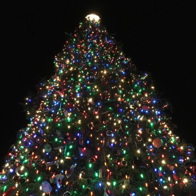 Capitol Christmas Tree - Looking up at lit tree