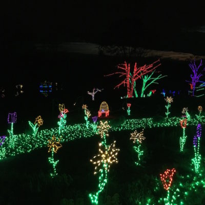 Meadowlark Botanical Gardens Winter Walk of Lights - Flowers