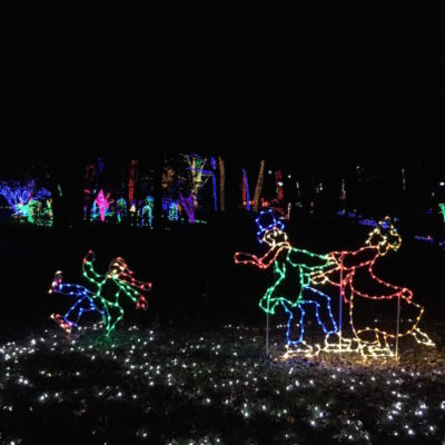 Meadowlark Botanical Gardens Winter Walk Of Lights Adventures In Dc