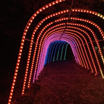 Meadowlark Botanical Gardens Winter Walk of Lights - Lit arch