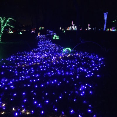 Meadowlark Botanical Gardens Winter Walk of Lights - Stream and frogs