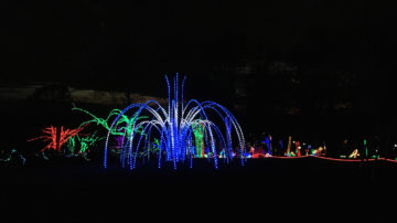 Meadowlark Botanical Gardens Winter Walk of Lights - holiday lights