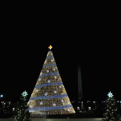 National Christmas Tree - Lit tree with Washington Monument in the background