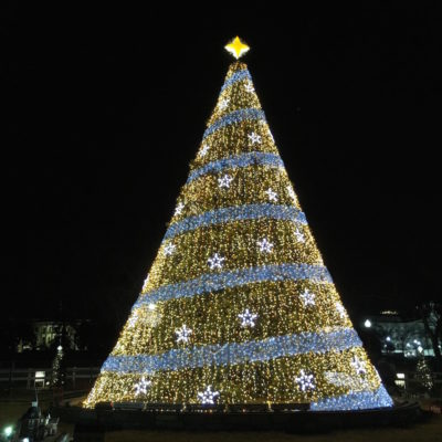 National Christmas Tree - Lit tree with train in front