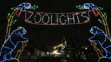 ZooLights - Entrance sign