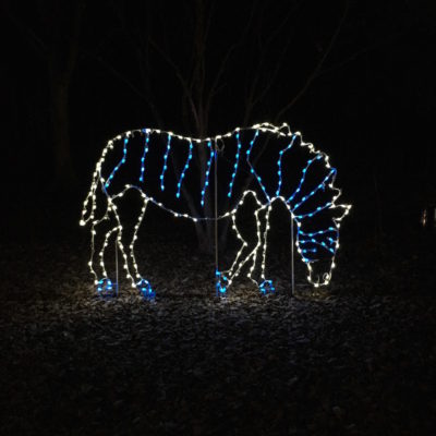 ZooLights - Zebra