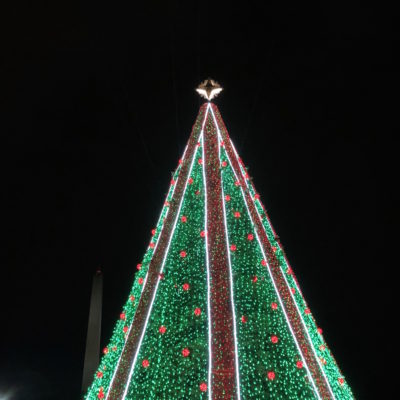 National Christmas Tree - 2019 tree with Washington Monument in the background