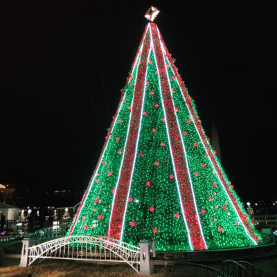 National Christmas Tree - 2019 tree with model train