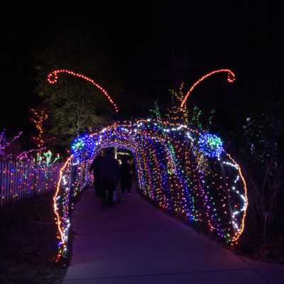 Garden of Lights - Caterpillar tunnel