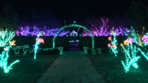 Garden of Lights - Gazebo and flowers