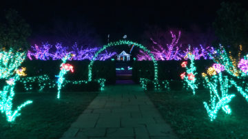 Garden of Lights - Gazebo and flowers