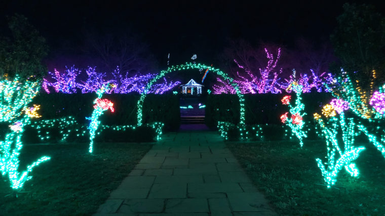 Garden of Lights - Gazebo and flowers