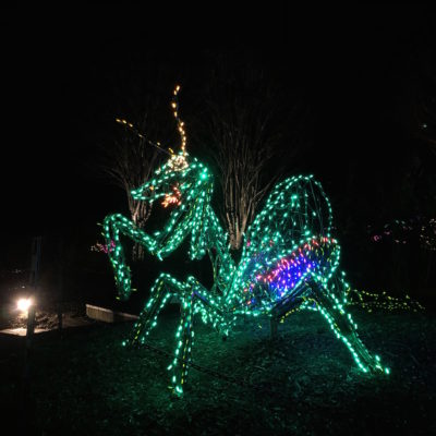 Garden of Lights - Praying mantis