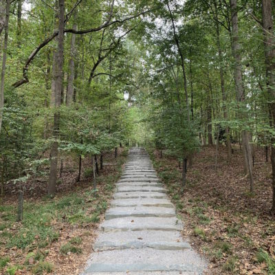 Glenstone Museum - Woodland Trail