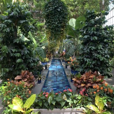 United States Botanic Garden - Garden Court