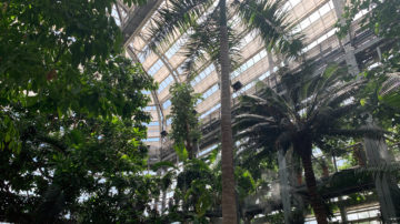 United States Botanic Garden - The Tropics